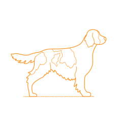 Animals Dogs Irish Red White Setter Svg Line Art, Free Vectors File